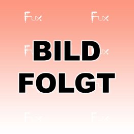 UX 01 GZ 01 Akku-CombiExpress